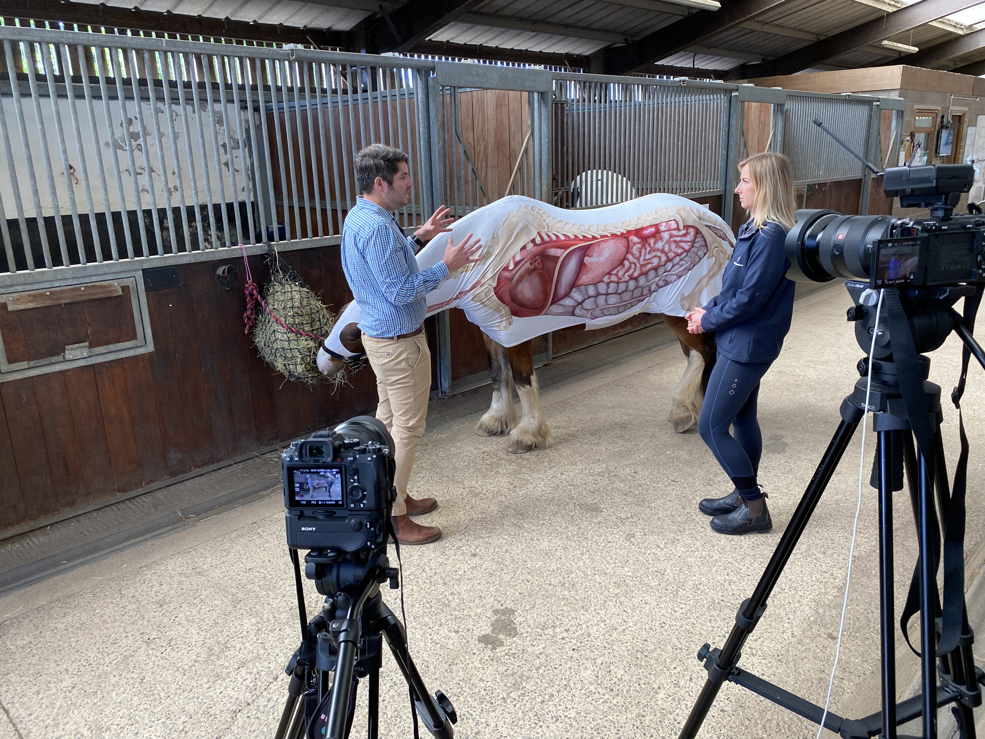 Dr Simon Daniels filming at World Horse Welfare