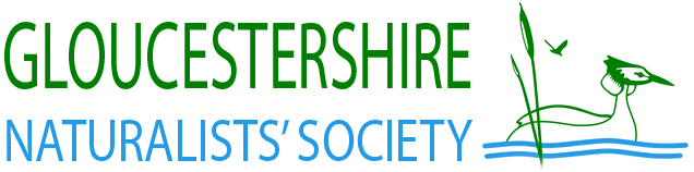 gloucestershire naturalists society logo