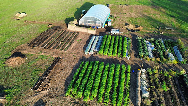arial shot of market garden