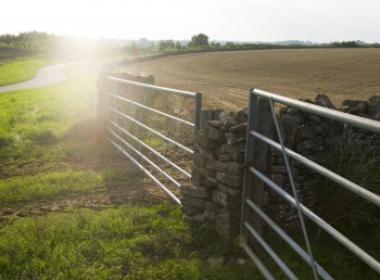 Gate into field