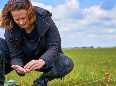 Researcher in field