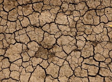 Parched, dry earth
