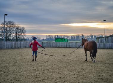 leading a horse