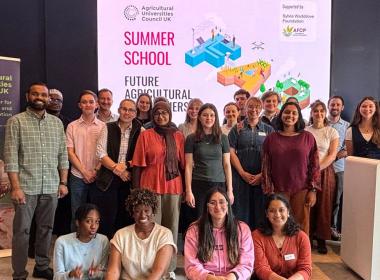 group of students who attended the auc summer school