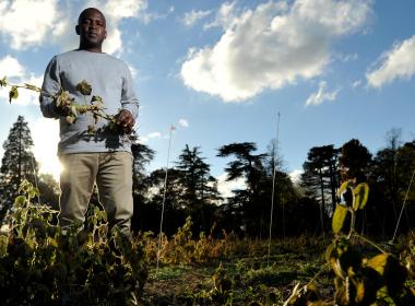 Photo of PhD student Pedzisai Nemadziba standing in soybean field
