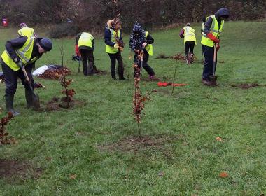 Students planting trees as part of National Tree week 2018